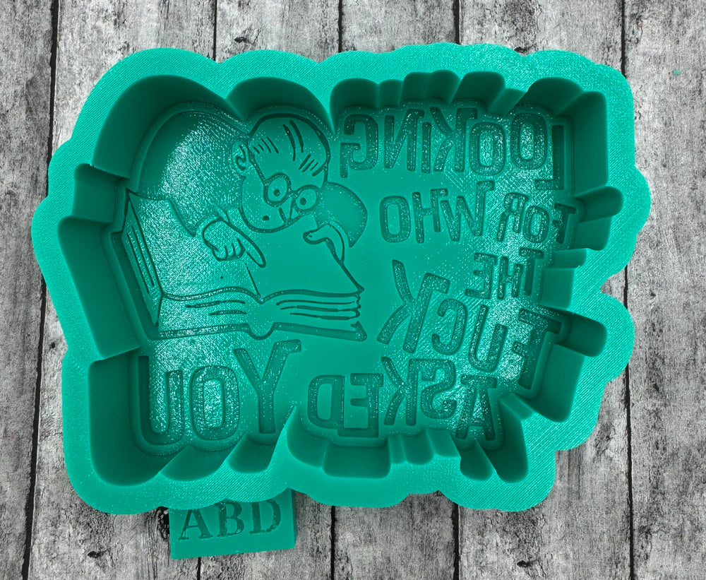 Looking For Who the FXCK asked You Man Book Freshie Silicone Mold