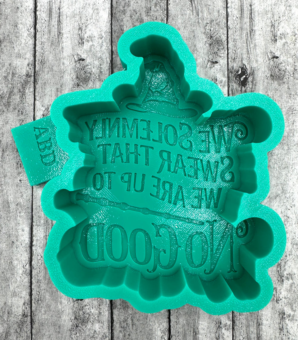 We Solemnly Swear Freshie Silicone Mold