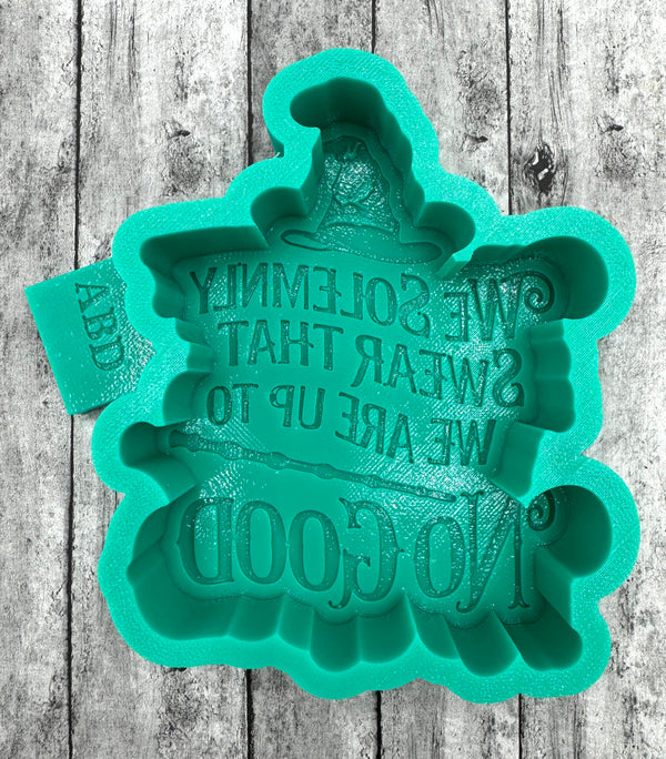 We Solemnly Swear Freshie Silicone Mold