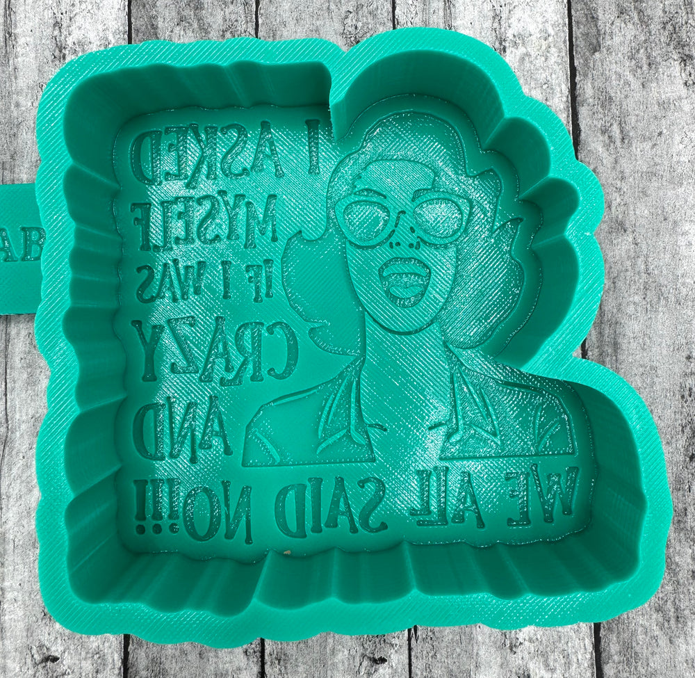 I asked Myself if I was Crazy Freshie Silicone Mold