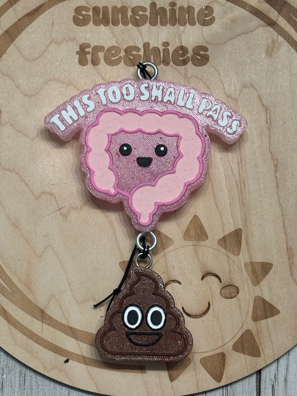 This Too Shall Pass Colon and Mini Emoji Poo Mold Freshie Silicone Mold