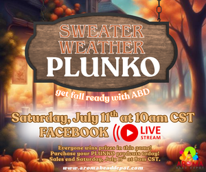 PLUNKO Mystery Game- PLEASE NO DISCOUNT CODES
