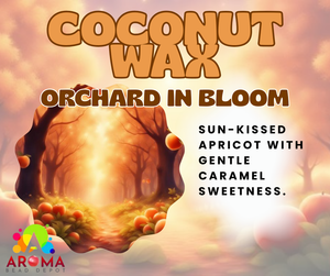 Coconut Wax 10 ounce Tub