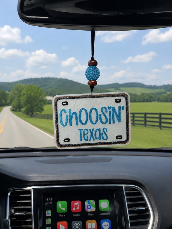 Choosin Texas License Plate Freshie Silicone Mold
