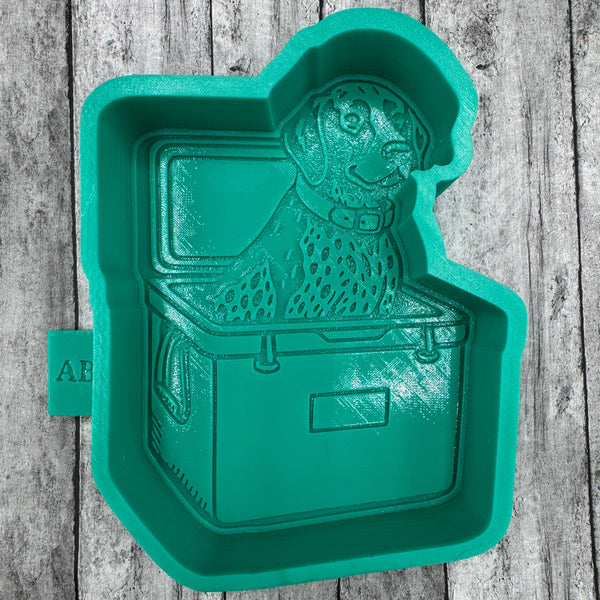 German Shorthair in a Cooler