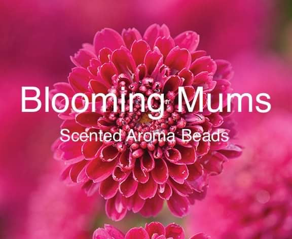 Blooming Mums Scented Aroma Beads