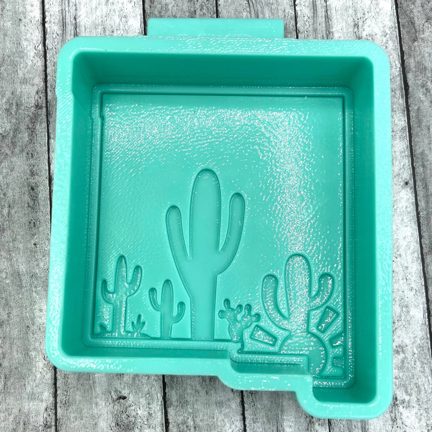 New Mexico Desert scene mold