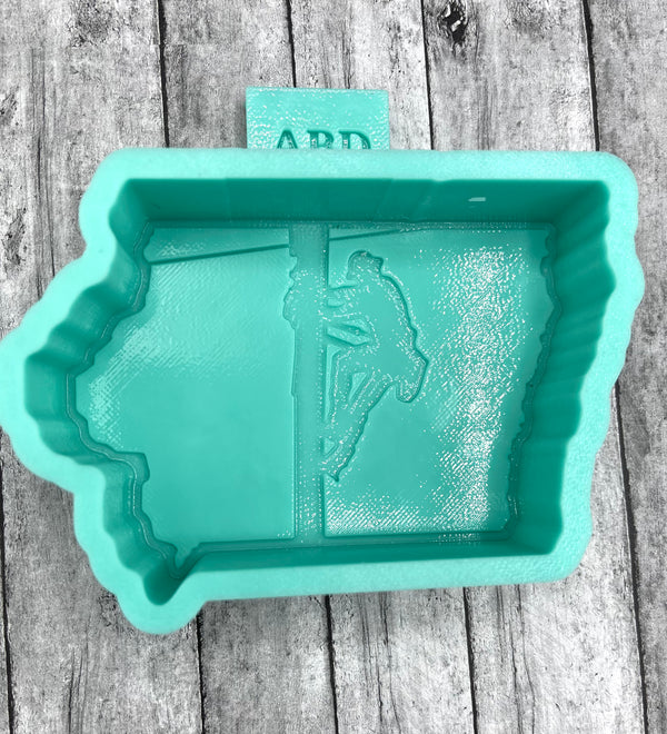 Lineman States Freshie Silicone Mold