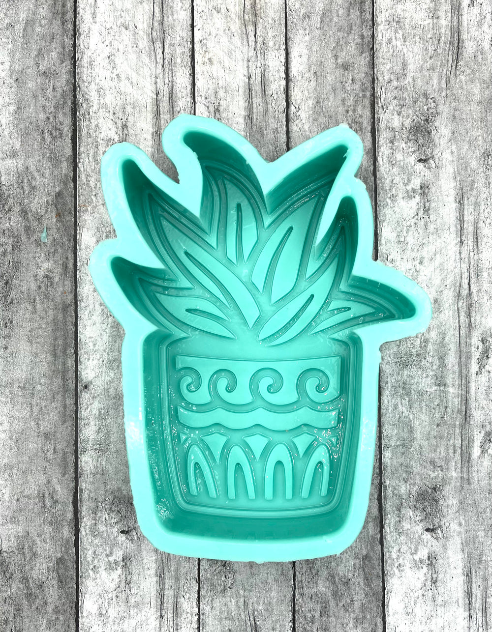 Succulent Plant mold